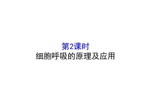 《课时讲练通》2017-2018学年高中生物(人教版)必修一配套课件：5-3-2细胞呼吸的原理及应用