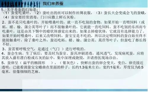 四年级下册科学第二单元