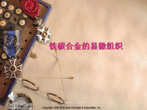 铁碳合金组织
