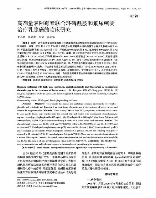 高剂量表阿霉素联合环磷酰胺和氟尿嘧啶治疗乳腺癌的临床研究