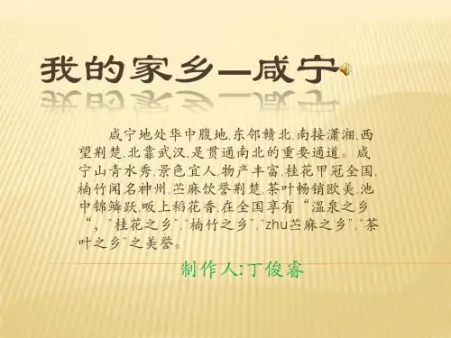 丁俊睿PPT