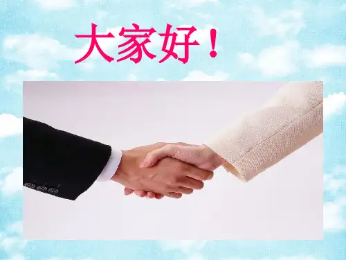 投石问路策略