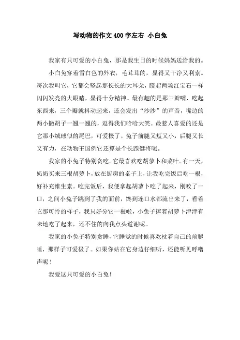 写动物的作文400字左右 小白兔
