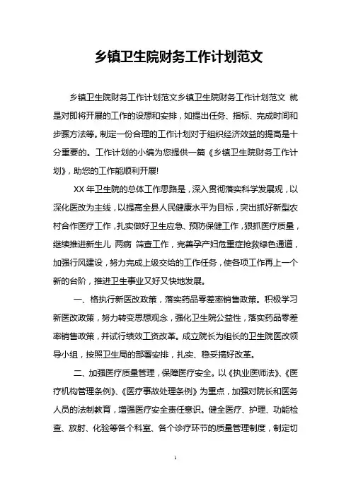 乡镇卫生院财务工作计划范文