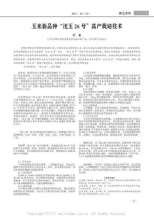 玉米新品种“沈玉26号”高产栽培技术