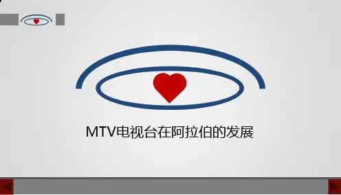 MTV跨文化案例分析