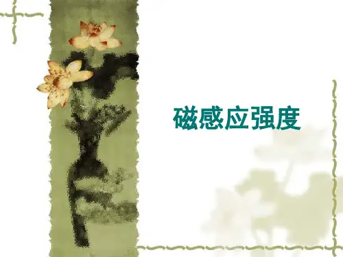人教高中物理选修3-1：3.2磁感应强度 课件(共18张PPT)