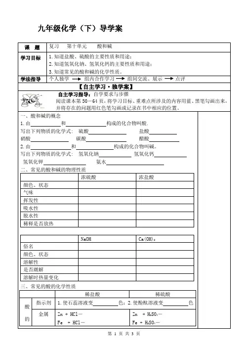 人教版初中化学复习课：第十单元 酸和碱 导学案