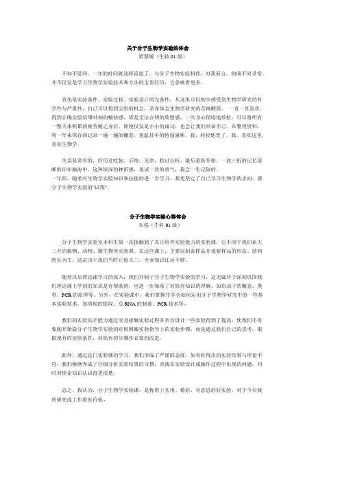 分子生物学实验-心得体会