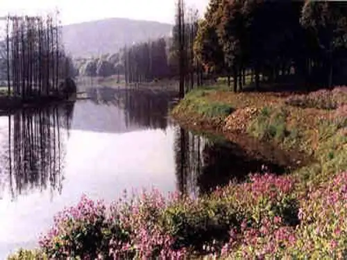 游山西村-PPT课件