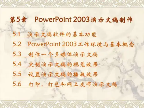 PowerPoint 2003演示文稿制作