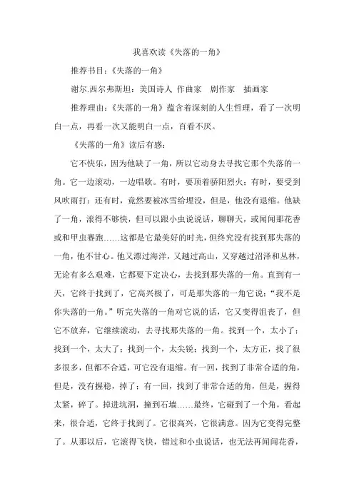 失落的一角   读后感