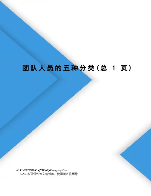 团队人员的五种分类 2