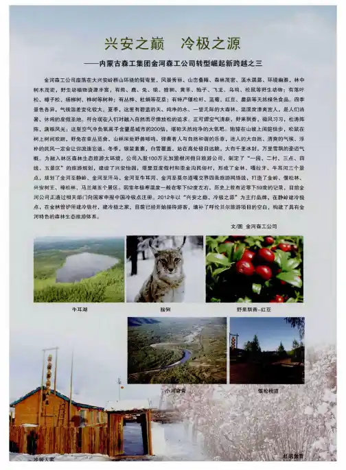 兴安之巅 冷极之源——内蒙古森工集团金河森工公司转型崛起新跨越之三