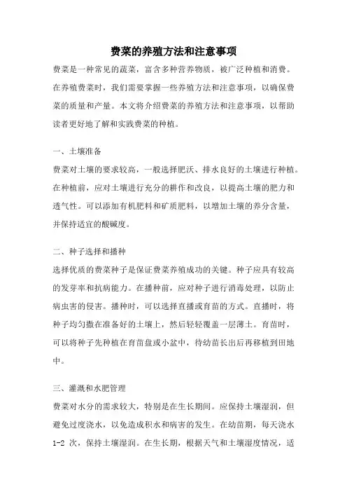 费菜的养殖方法和注意事项