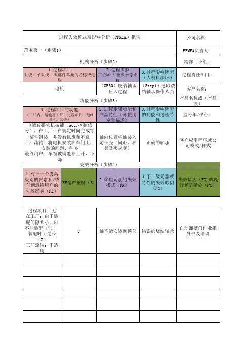 FMEA第五版表格 2