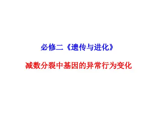 高三复习_减数分裂导致配子异常现象分析报告