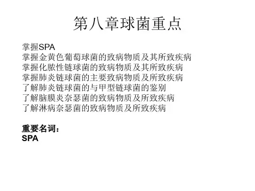肠道杆菌