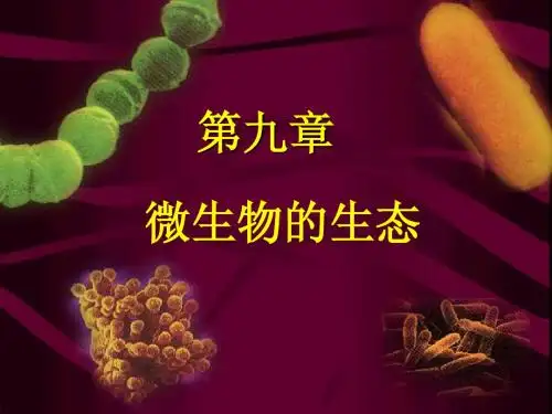9-生态-2
