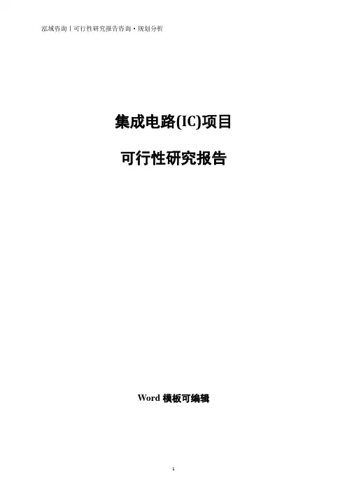 集成电路(IC)项目可行性研究报告