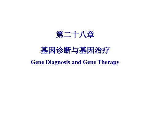 《生物化学》教学课件：基因诊断与基因治疗-1-8
