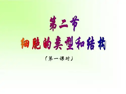 细胞的类型和结构