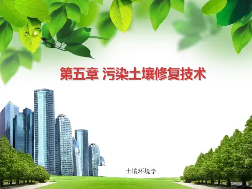 第五章1污染土壤修复技术