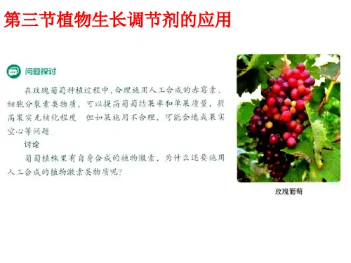 【新教材生物】《植物生长调节剂的应用》ppt1