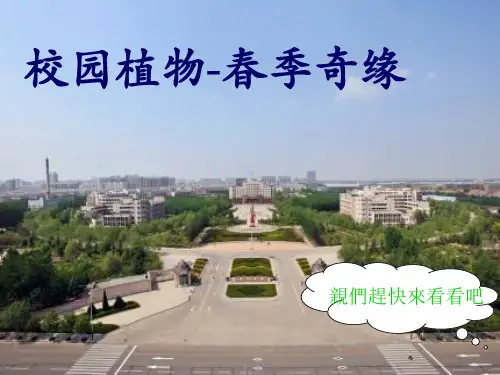 植物学PPT课件
