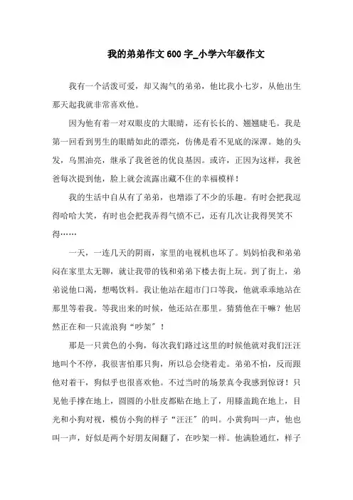 中小学我的弟弟作文600字_小学六年级作文