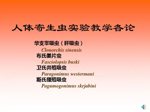 肝吸虫、肺吸虫、姜片虫