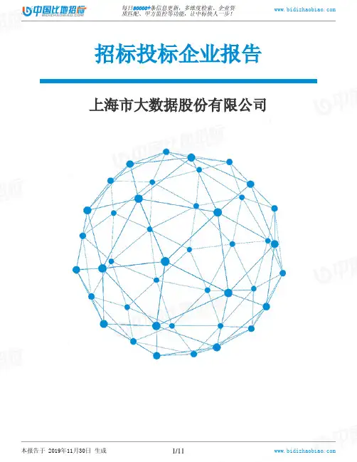 上海市大数据股份有限公司-招投标数据分析报告