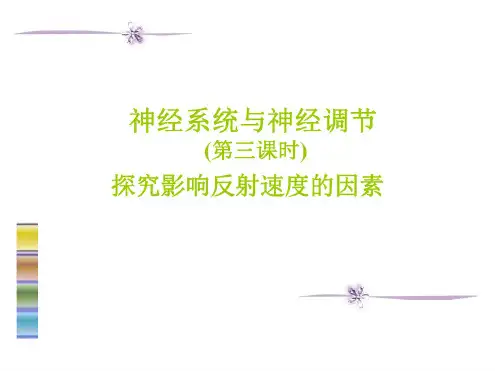 七年级生物神经系统与神经调节2