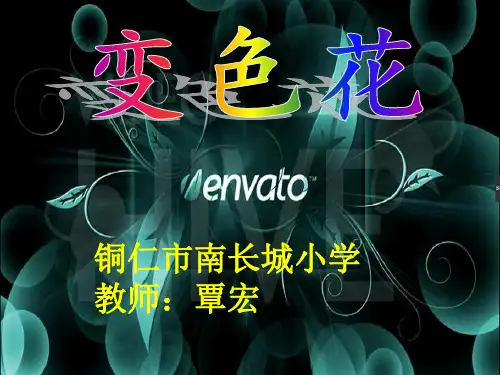 苏教版小学科学l六年级上册《变色花》课件PPT
