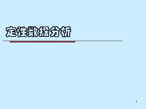 定性数据分析