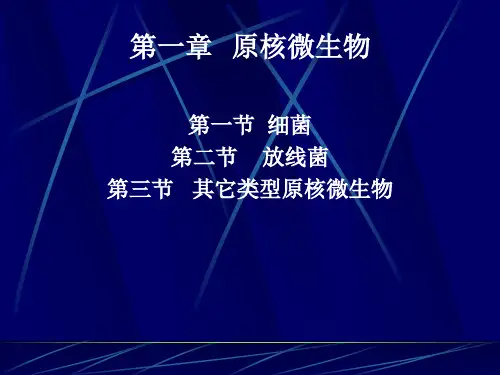 第一章 原核微生物
