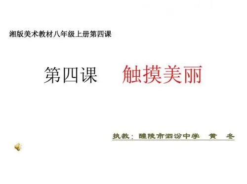 八年级语文触摸美丽