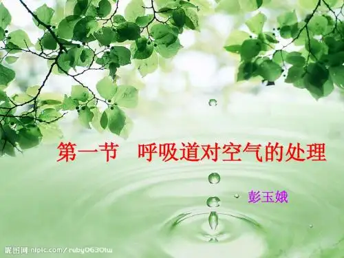 第三章第1节 呼吸道对空气的处理1