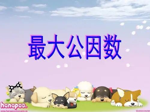 人教版五年级最大公因数ppt