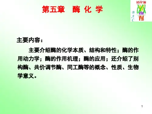 生物化学课件酶化学