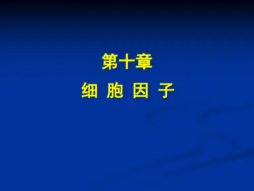 各细胞因子功能分析