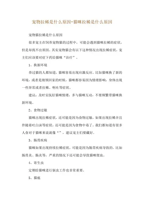 宠物拉稀是什么原因-猫咪拉稀是什么原因