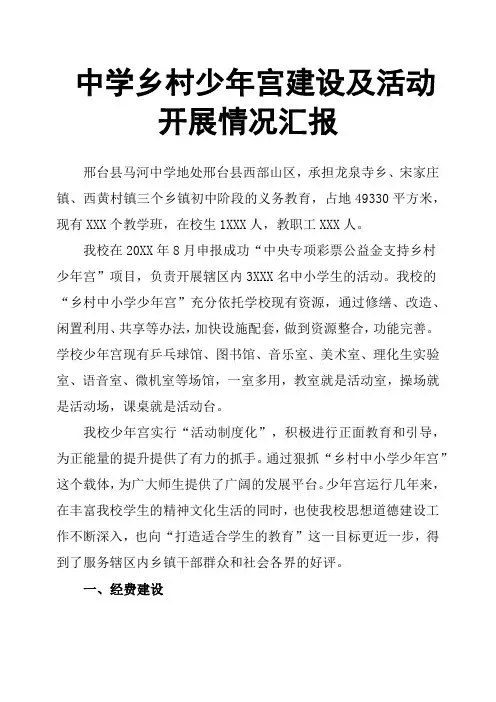 中学乡村少年宫建设及活动开展情况汇报