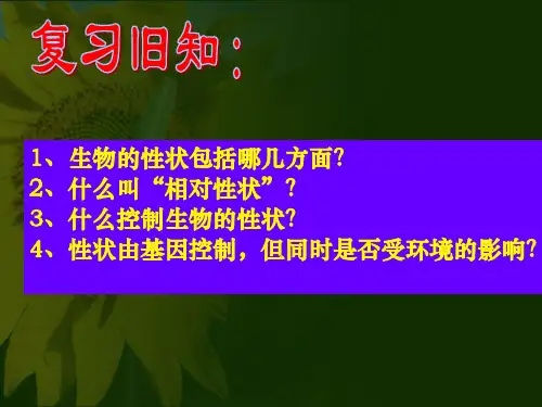 基因在亲子代间的传递(2014新人教版)