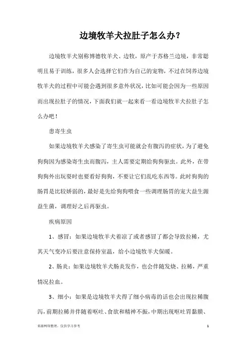 边境牧羊犬拉肚子怎么办？