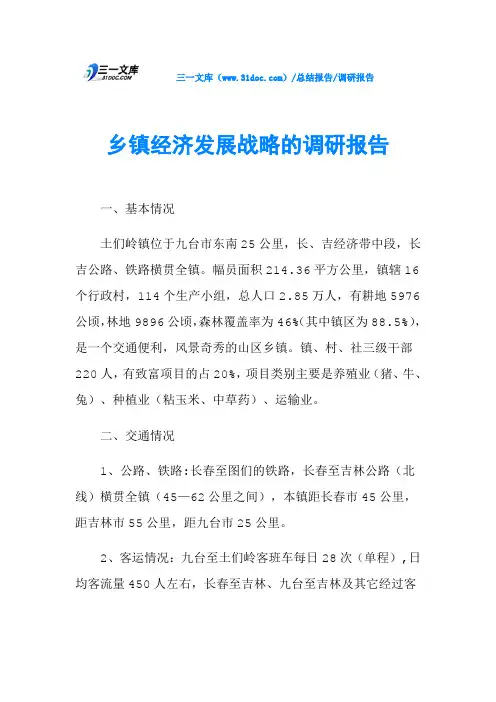 乡镇经济发展战略的调研报告