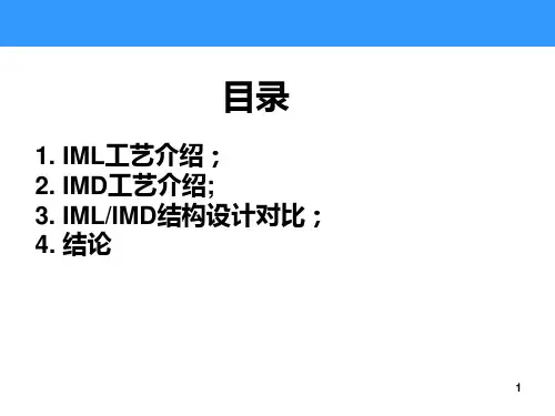 IML详细工艺介绍和样品展示ppt课件