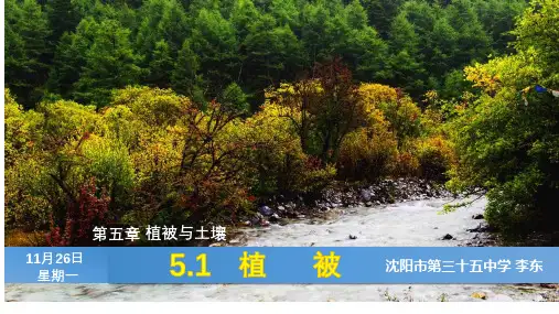 第五章第一节：植被 (17张PPT)(推荐课件)