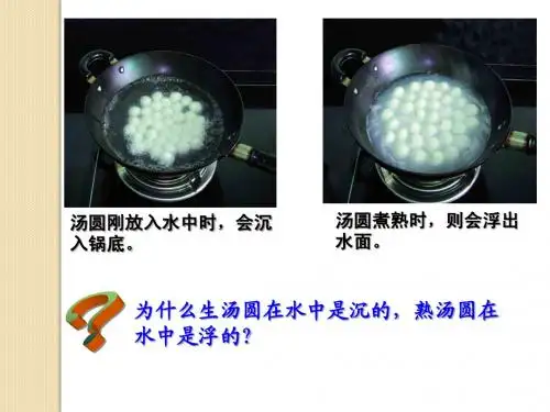 10.3_物体浮沉条件应用