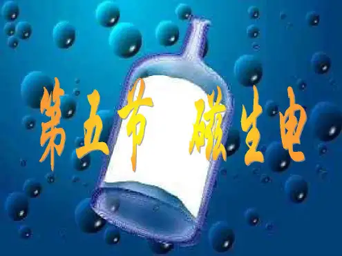 第五节磁生电(二)[人教版]